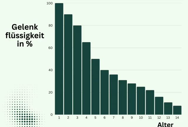 gempages_524124171878269860-8d4c46e7-3bd5-42f8-83a9-75baeab25754