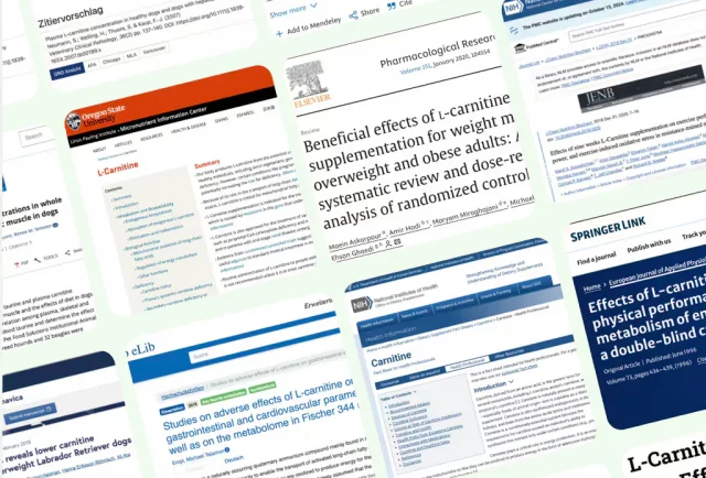 gempages_524124171878269860-a1c31352-41dc-4f34-b982-afc49d3ac7e8